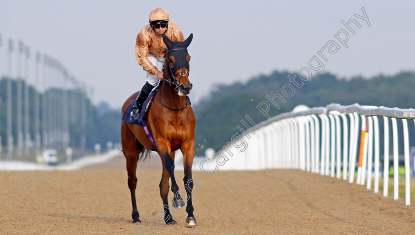 Ad-Infinitum-0001 
 AD INFINITUM (Connor Beasley)
Newcastle 24 Jun 2022 - Pic Steven Cargill / Racingfotos.com