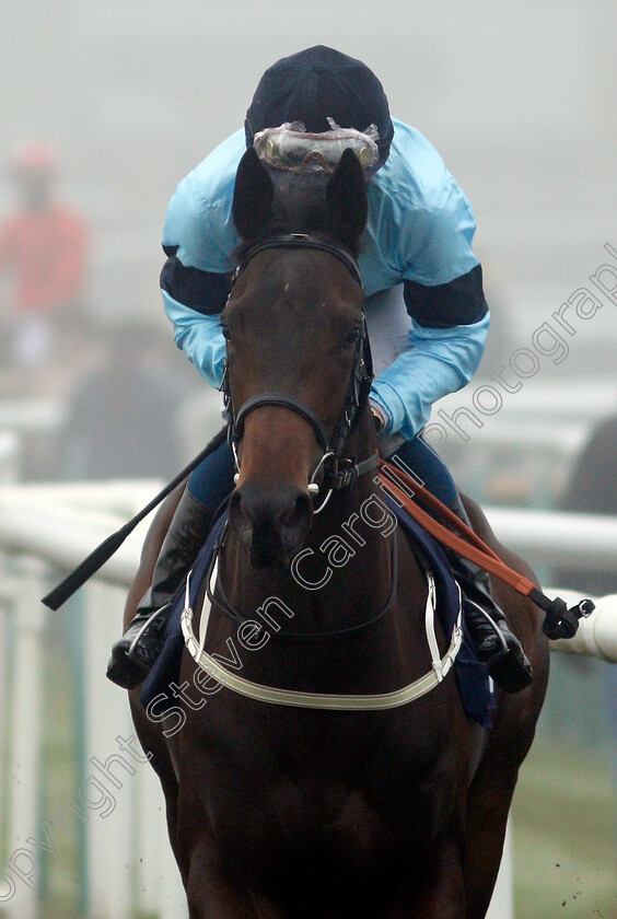 Immaculate-0001 
 IMMACULATE (William Buick)
Doncaster 7 Nov 2020 - Pic Steven Cargill / Racingfotos.com