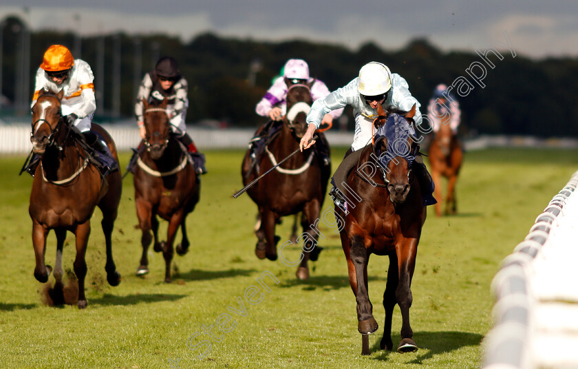 Pivoine-0002 
 PIVOINE (Ryan Moore) wins The Coopers Marquees Classified Stakes Doncaster 15 Sep 2017 - Pic Steven Cargill / Racingfotos.com