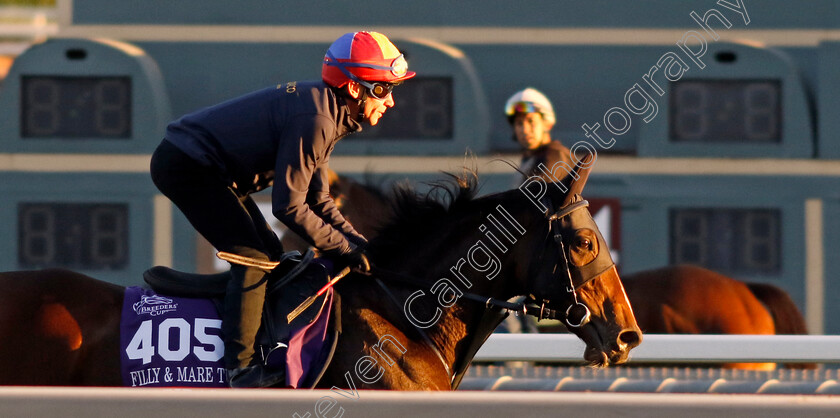 Inspiral-0004 
 INSPIRAL (Frankie Dettori) training for The Breeders' Cup Filly & Mare Turf
Santa Anita USA, 31 October 2023 - Pic Steven Cargill / Racingfotos.com