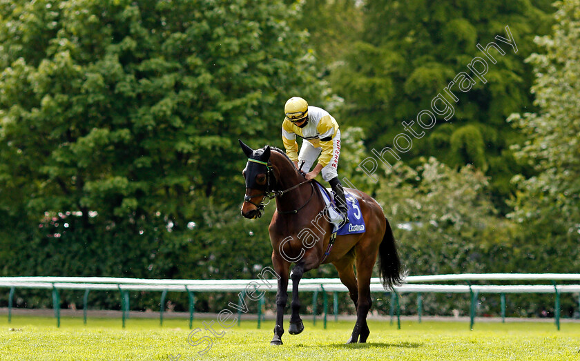 Dash-Of-Spice-0001 
 DASH OF SPICE (Tom Marquand)
Haydock 22 May 2021 - Pic Steven Cargill / Racingfotos.com