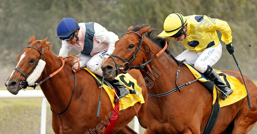 Hello-0003 
 HELLO (right, Tadhg O'Shea) wins The British University In Dubai Handicap
Jebel Ali 24 Jan 2020 - Pic Steven Cargill / Racingfotos.com