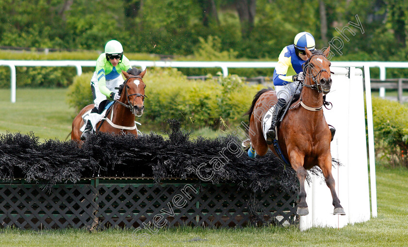 Lord-Justice-0003 
 LORD JUSTICE (Sean McDermott) wins The Green Pastures Hurdle at Perct Warner Park, Nashville 12 May 2018 - Pic Steven Cargill / Racingfotos.com