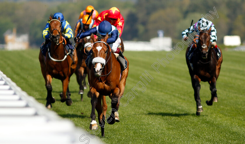 Coltrane-0002 
 COLTRANE (Oisin Murphy) wins The Longines Sagaro Stakes
Ascot 3 May 2023 - Pic Steven Cargill / Racingfotos.com