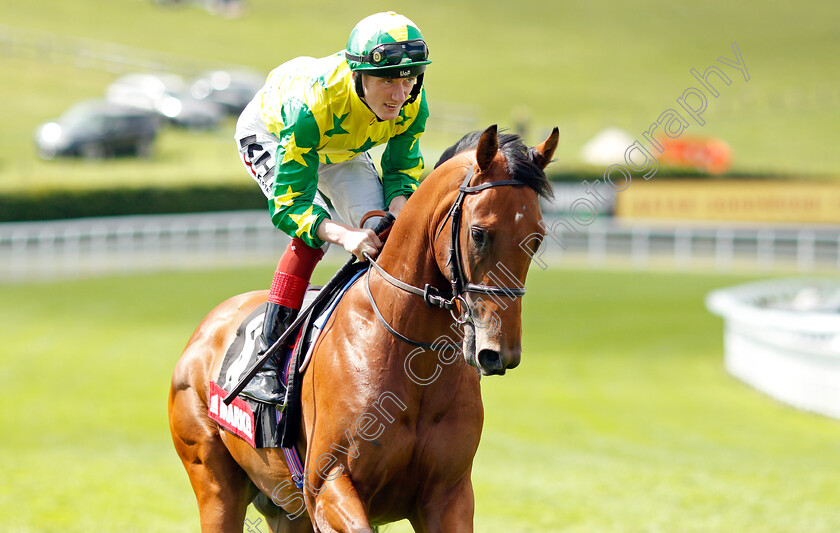 Kingboard-Star-0001 
 KINGBOARD STAR (David Egan)
Goodwood 28 Jul 2021 - Pic Steven Cargill / Racingfotos.com