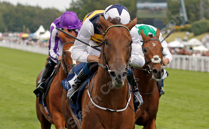 Ottoman-Emperor-0003 
 OTTOMAN EMPEROR (Ben Coen) wins The John Pearce Racing Gordon Stakes
Goodwood 29 Jul 2021 - Pic Steven Cargill / Racingfotos.com