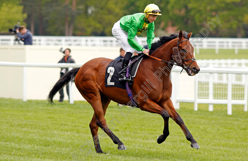 Tahitian-Prince 
 TAHITIAN PRINCE (Liam Browne)
Ascot 27 Apr 2022 - Pic Steven Cargill / Racingfotos.com