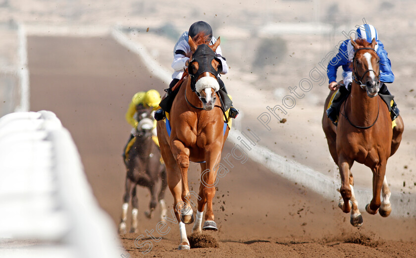 Interconnection-0002 
 INTERCONNECTION (left, Xavier Ziani) beats MUDAARAB (right) in The Shadwell Farm Handicap Jebel Ali 9 Mar 2018 - Pic Steven Cargill / Racingfotos.com