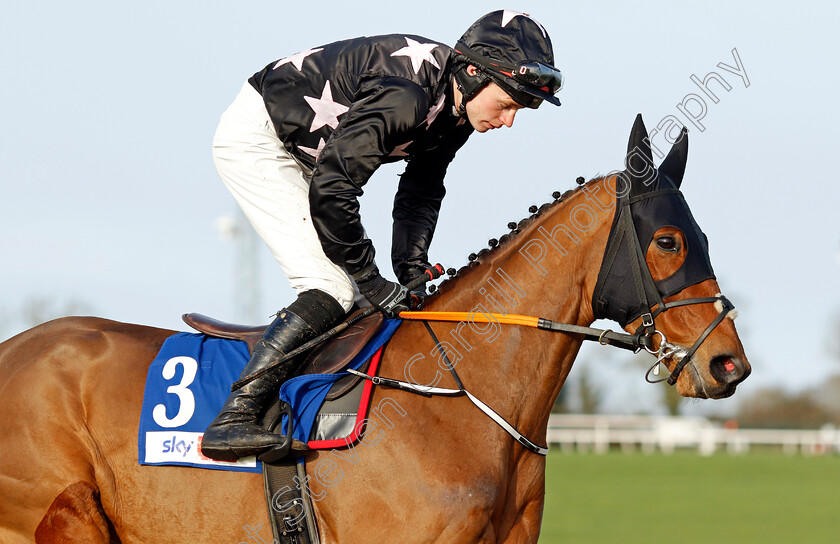 Ifiwerearichman-0001 
 IFIWEREARICHMAN (Sean O'Keeffe)
Punchestown 12 Jan 2025 - Pic Steven Cargill / Racingfotos.com