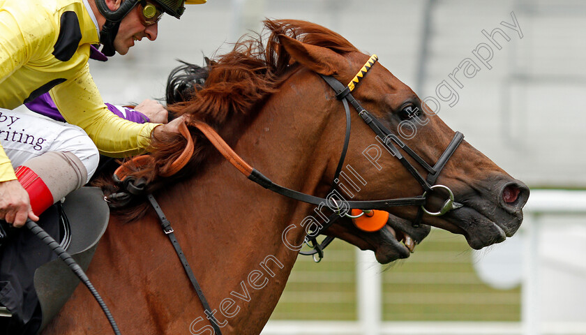 Prince-Eiji-0001 
 PRINCE EIJI (Andrea Atzeni)
Ascot 28 Apr 2021 - Pic Steven Cargill / Racingfotos.com