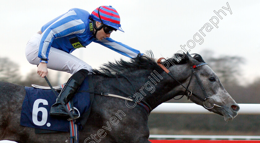 Delicious-0008 
 DELICIOUS (Callum Shepherd) wins The Ladbrokes Bet £5 Get £20 Nursery
Wolverhampton 28 Nov 2018 - Pic Steven Cargill / Racingfotos.com