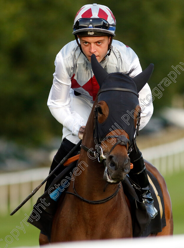 Imperial-Quarter-0001 
 IMPERIAL QUARTER (Ray Dawson)
Newmarket 4 Aug 2023 - Pic Steven Cargill / Racingfotos.com