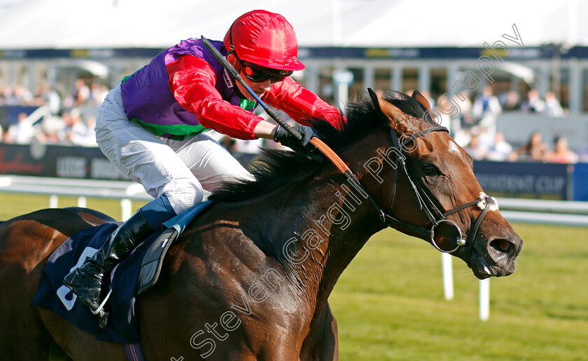 Lucander-0004 
 LUCANDER (Rob Hornby) wins The Napoleons Casinos & Restaurants Nursery
Doncaster 14 Sep 2019 - Pic Steven Cargill / Racingfotos.com