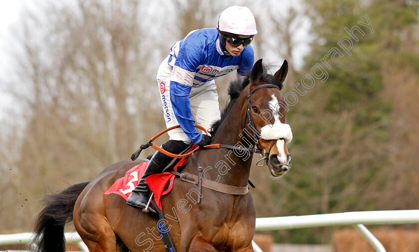 Samarrive-0001 
 SAMARRIVE (Harry Cobden)
Kempton 22 Feb 2025 - Pic Steven Cargill / Racingfotos.com