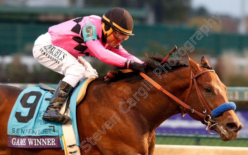 Game-Winner-0001 
 GAME WINNER (Joel Rosario) wins The Breeders' Cup Juvenile
Churchill Downs 2 Nov 2018 - Pic Steven Cargill / Racingfotos.com