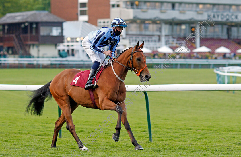 Tashkhan-0001 
 TASHKHAN (Harry Russell) winner of The Join Racing TV Now Handicap
Haydock 28 May 2021 - Pic Steven Cargill / Racingfotos.com