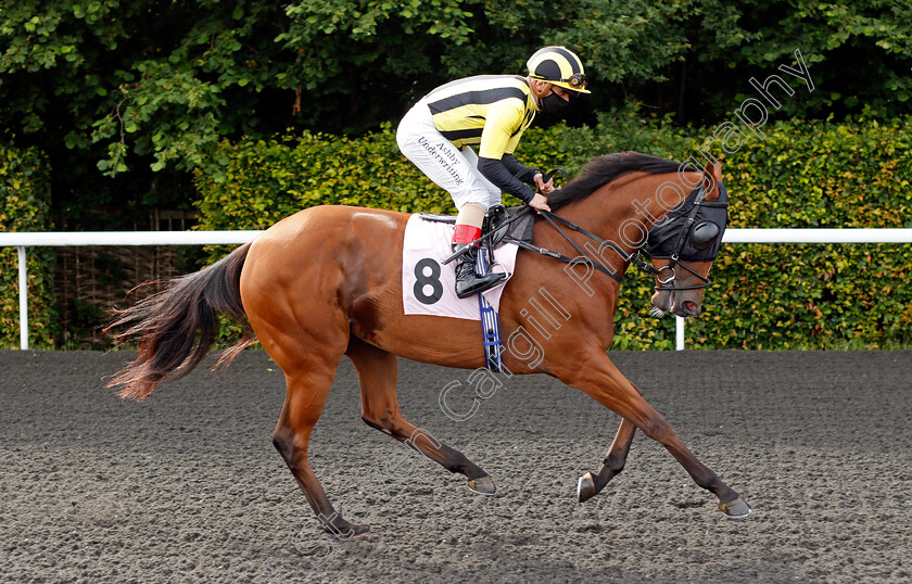 Safra-0001 
 SAFRA (Andrea Atzeni) winner of The British Stallion Studs EBF Fillies Novice Stakes
Kempton 30 Jun 2021 - Pic Steven Cargill / Racingfotos.com