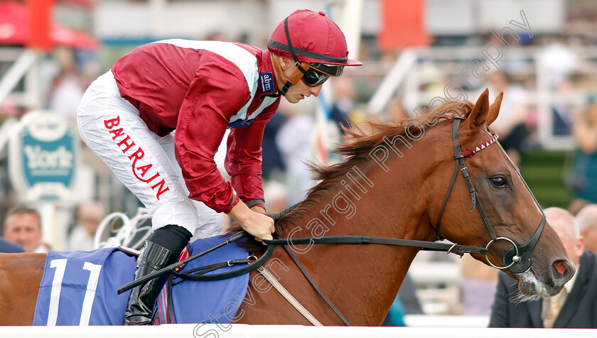 Sheer-Rocks 
 SHEER ROCKS (Tom Marquand)
York 20 Aug 2022 - Pic Steven Cargill / Racingfotos.com