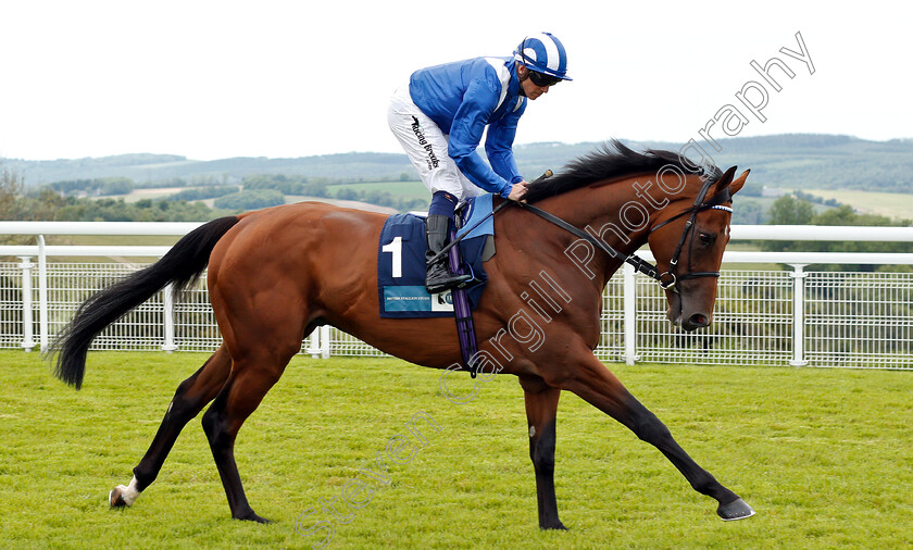 Alfaatik-0001 
 ALFAATIK (Jim Crowley)
Goodwood 24 May 2019 - Pic Steven Cargill / Racingfotos.com