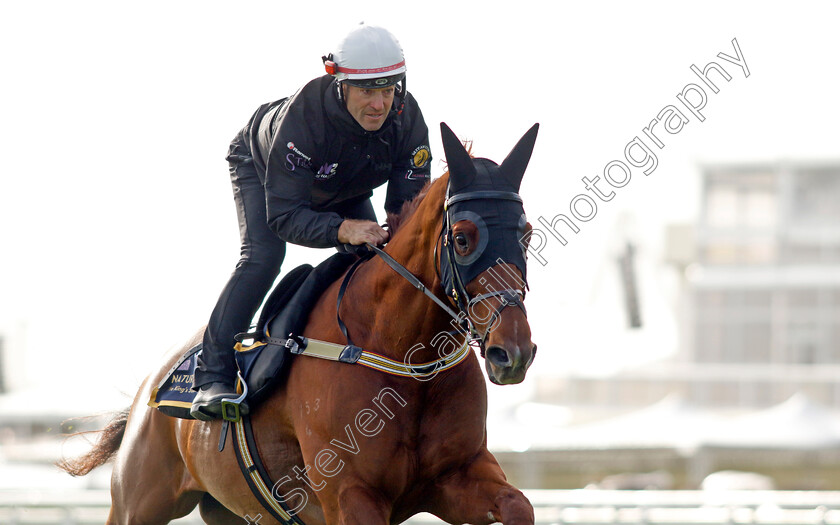 Nature-Strip-0012 
 NATURE STRIP - Australia to Ascot, preparing for the Royal Meeting.
Ascot 10 Jun 2022 - Pic Steven Cargill / Racingfotos.com