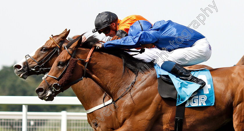 Speedo-Boy-0006 
 SPEEDO BOY (farside, James Doyle) beats ALQAMAR (nearside) in The JGR Brown Jack Handicap
Ascot 27 Jul 2018 - Pic Steven Cargill / Racingfotos.com