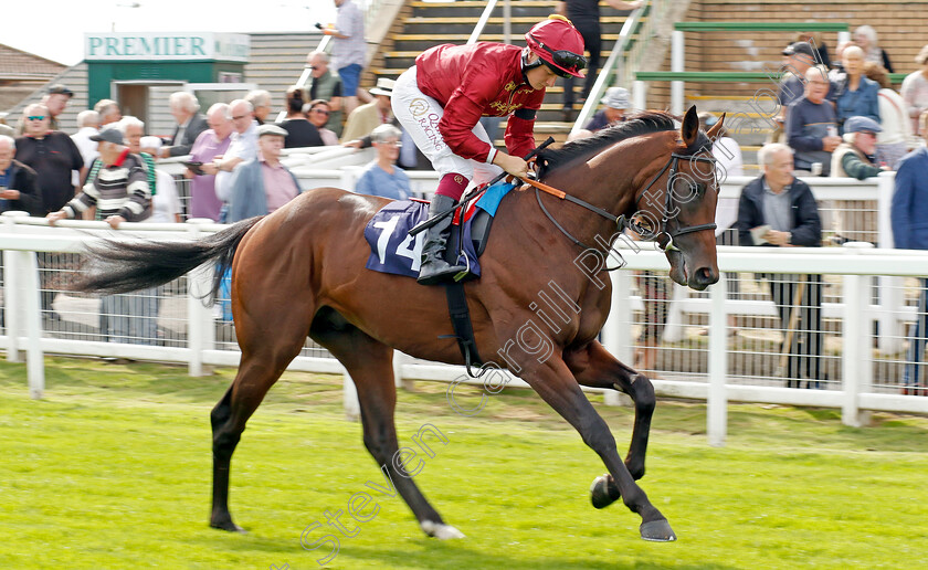 Zoology-0007 
 ZOOLOGY (Cieren Fallon) winner of The British Stallion Studs EBF Novice Stakes
Yarmouth 13 Sep 2022 - Pic Steven Cargill / Racingfotos.com