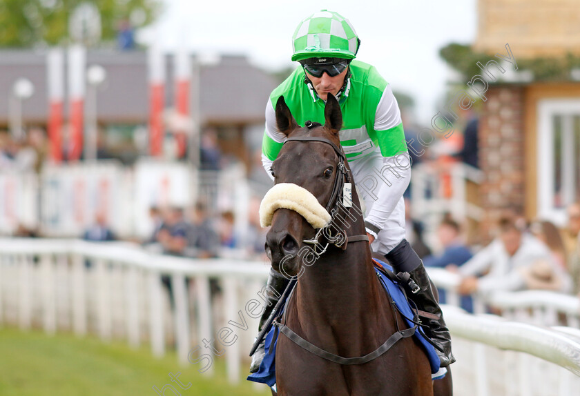 Annaf 
 ANNAF (Daniel Tudhope)
York 11 Jun 2022 - Pic Steven Cargill / Racingfotos.com