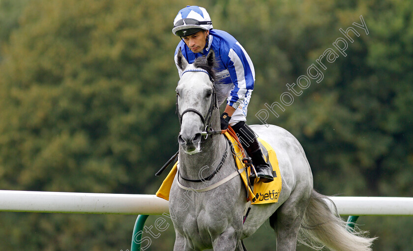 Art-Power-0002 
 ART POWER (Silvestre De Sousa)
Haydock 4 Sep 2021 - Pic Steven Cargill / Racingfotos.com