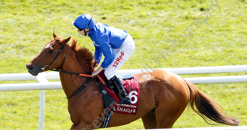 Dutch-Connection-0001 
 DUTCH CONNECTION (Jamie Spencer) Newbury 19 May 2018 
Pic Steven Cargill / Racingfotos.com