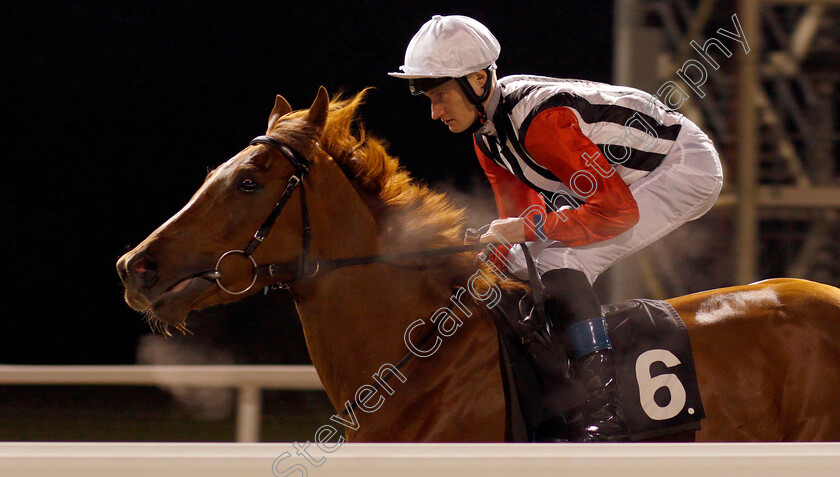 Lady-Eleanor-0001 
 LADY ELEANOR (Daniel Muscutt)
Chelmsford 25 Nov 2019 - Pic Steven Cargill / Racingfotos.com