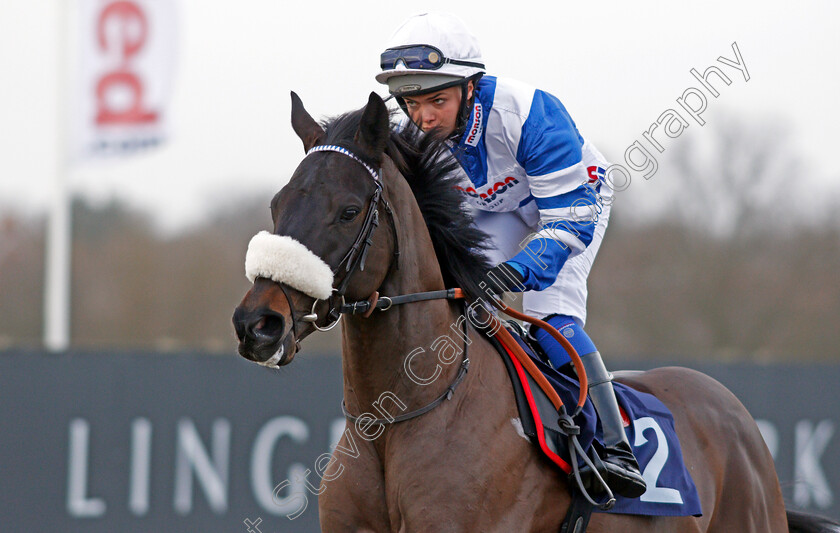 Zubayr-0003 
 ZUBAYR (Megan Nicholls) Lingfield 30 Dec 2017 - Pic Steven Cargill / Racingfotos.com