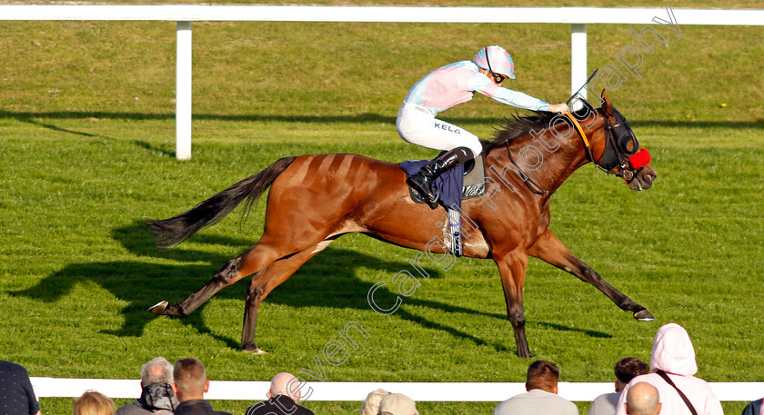 Grace-Angel-0002 
 GRACE ANGEL (Jason Watson) wins The Retro Industrial Cleaning Services Handicap
Yarmouth 17 Sep 2024 - Pic Steven Cargill / Racingfotos.com