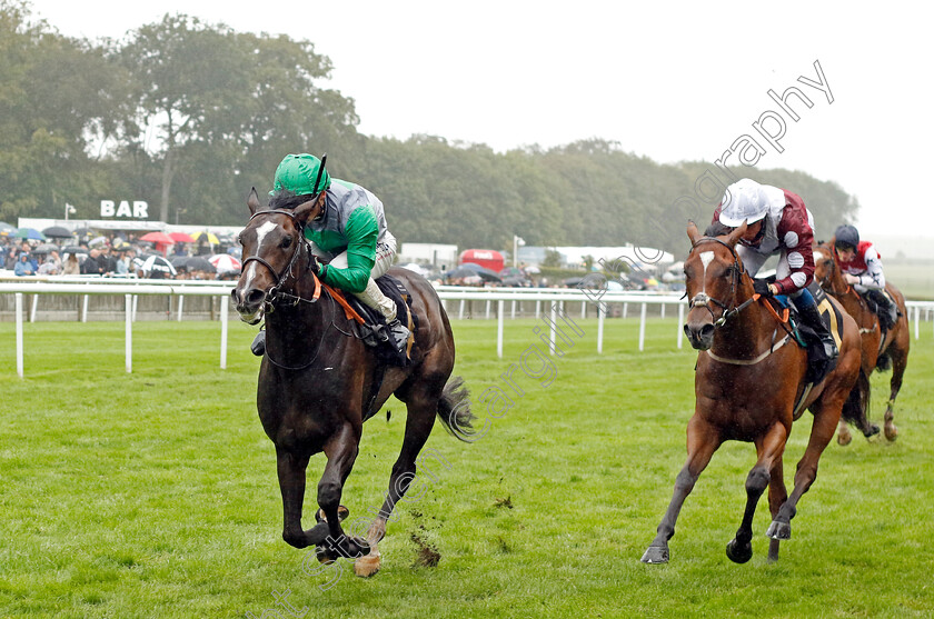 Out-Of-Shadows-0003 
 OUT OF SHADOWS (Benoit de la Sayette) beats KIARAAD (right) in The Ian Angry Anderson 50th Birthday Celebration Handicap
Newmarket 5 Aug 2023 - Pic Steven Cargill / Racingfotos.com