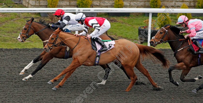 Merry-Secret-0001 
 MERRY SECRET (farside, Alistair Rawlinson) beats SHAQEEQA (nearside) in The Try Our New Super Boosts At Unibet Handicap
Kempton 16 Feb 2021 - Pic Steven Cargill / Racingfotos.com