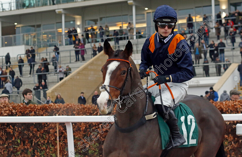 Mirabad-0005 
 MIRABAD (Luke Scott) winner of The Catesby Estates Handicap Hurdle
Cheltenham 13 Dec 2024 - Pic Steven Cargill / Racingfotos.com