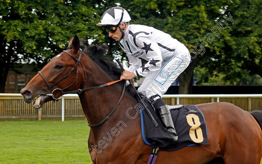 Kilteel-0001 
 KILTEEL (Kieran Shoemark)
Newmarket 13 Jul 2024 - Pic Steven Cargill / Racingfotos.com