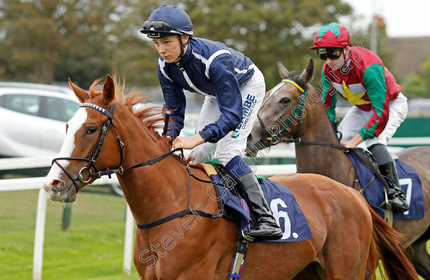 Adore-You-0001 
 ADORE YOU (Billy Loughnane)
Yarmouth 21 Sep 2023 - Pic Steven Cargill / Racingfotos.com