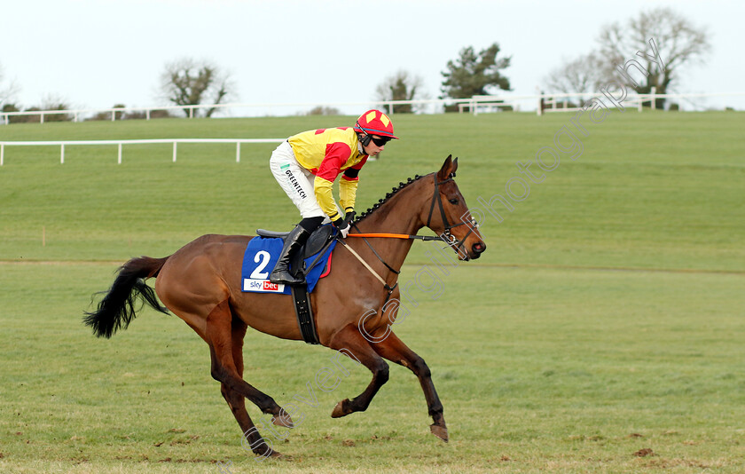 Coumeenoole-0001 
 COUMEENOOLE (Conor Stone-Walsh)
Punchestown 12 Jan 2025 - Pic Steven Cargill / Racingfotos.com