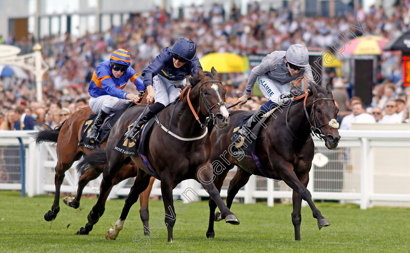 New-Image-and-Fresh-0001 
 NEW IMAGE (left, Mark Winn) and FRESH (right, Billy Loughnane)
Ascot 27 Jul 2024 - Pic Steven Cargill / Racingfotos.com