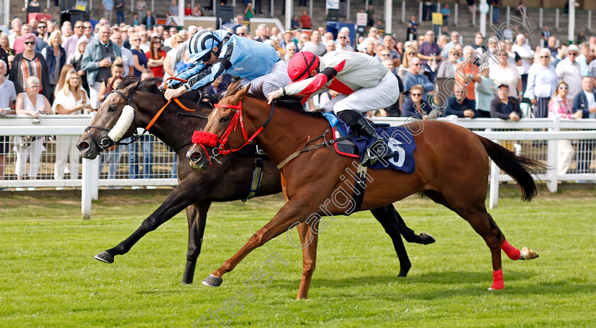 Chanson-D Amour-0001 
 CHANSON D'AMOUR (left, Martin Harley) beats AMASOVA (right) in The Sky Sports Racing Sky 415 Handicap
Yarmouth 13 Sep 2022 - Pic Steven Cargill / Racingfotos.com