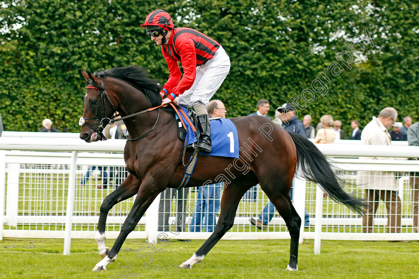 Enzo-0001 
 ENZO (Liam Keniry) Salisbury 7 Sep 2017 - Pic Steven Cargill / Racingfotos.com