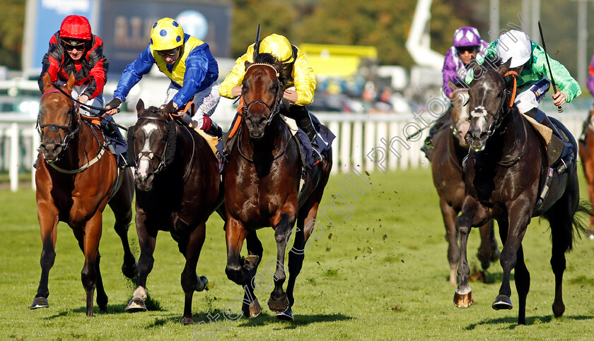 Yaroogh-0005 
 YAROOGH (centre, Tom Marquand) beats SPELL MASTER (2nd left) and BACK IN BLACK (right) in The Hilton Garden Inn Nursery
Doncaster 12 Sep 2024 - Pic Steven Cargill / Racingfotos.com