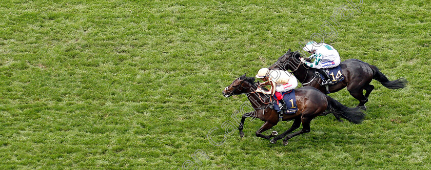 A Ali-0006 
 A'ALI (Frankie Dettori) wins The Norfolk Stakes
Royal Ascot 20 Jun 2019 - Pic Steven Cargill / Racingfotos.com