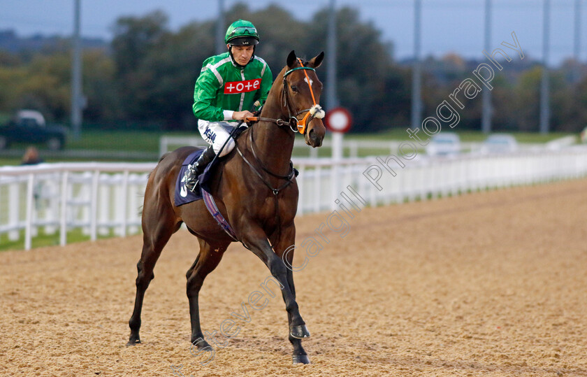 Desert-Falcon-0002 
 DESERT FALCON (Luke Morris)
Southwell 4 Oct 2022 - Pic Steven Cargill / Racingfotos.com