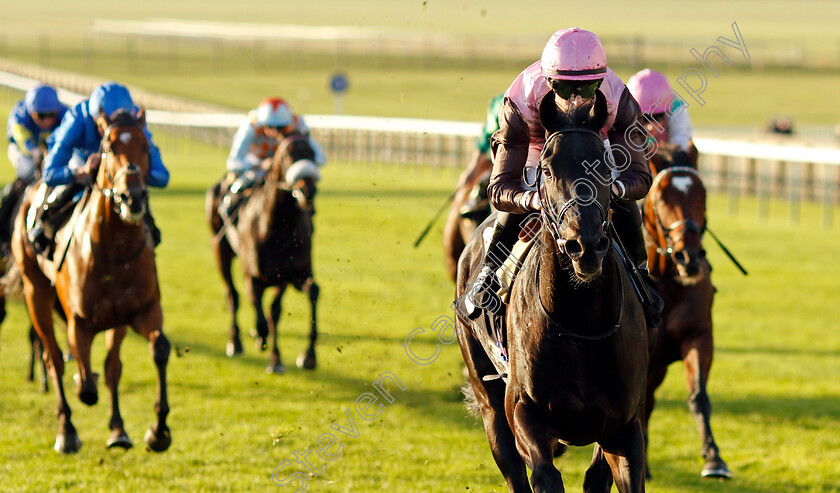 I-Am-I-Said-0003 
 I AM I SAID (Richard Kingscote) wins The British Stallion Studs EBF Future Stayers Novice Stakes
Newmarket 23 Oct 2024 - Pic Steven Cargill / Racingfotos.com