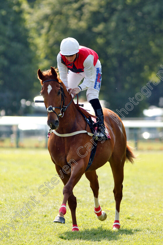 Just-Glamorous-0001 
 JUST GLAMOROUS (David Probert)
Haydock 26 May 2018 - Pic Steven Cargill / Racingfotos.com