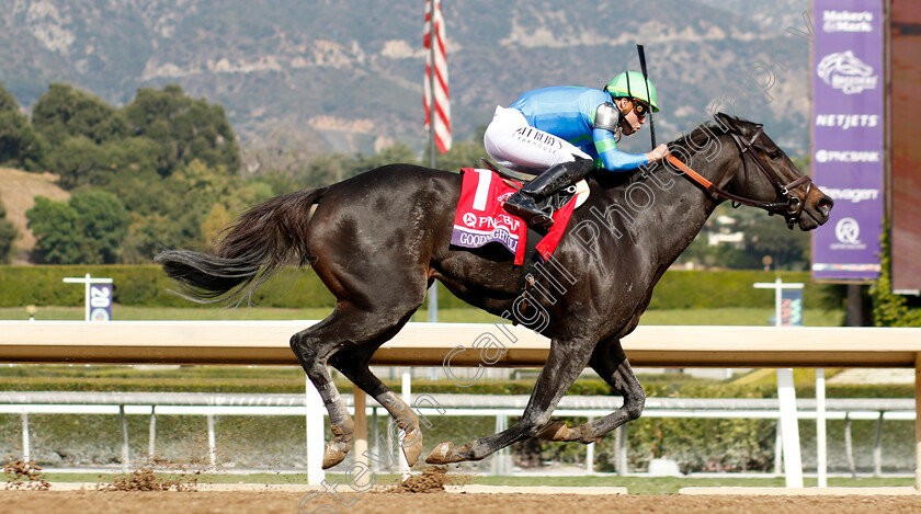 Goodnight-Olive-0003 
 GOODNIGHT OLIVE (Irad Ortiz) wins The Breeders' Cup Filly & Mare Sprint
Santa Anita 4 Nov 2023 - Pic Steven Cargill / Racingfotos.com