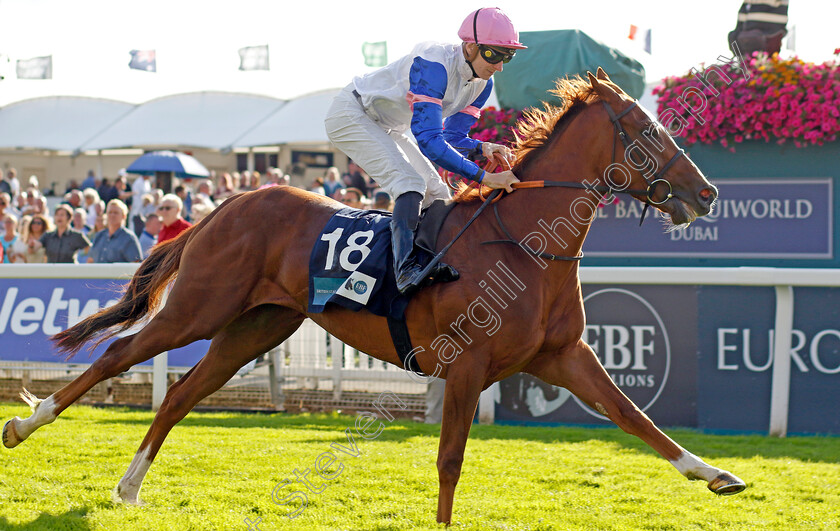 Nigiri-0003 
 NIGIRI (Hector Crouch) wins The British EBF 40th Anniversary Fillies Handicap
York 24 Aug 2023 - Pic Steven Cargill / Racingfotos.com