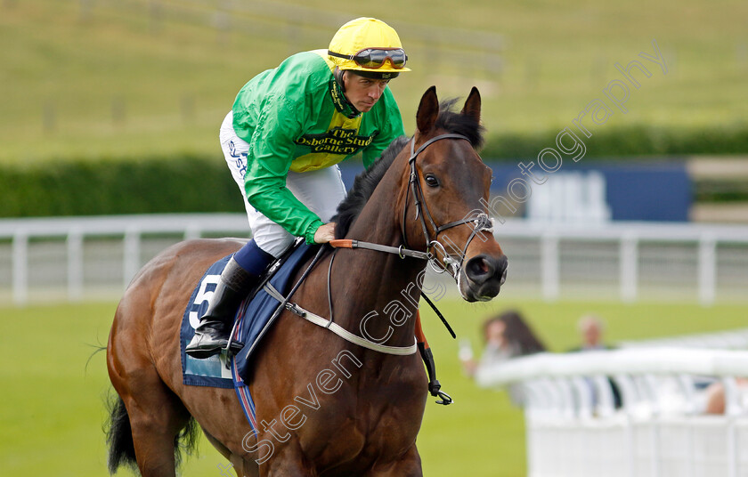 Maksud-0003 
 MAKSUD (Jim Crowley)
Goodwood 20 May 2022 - Pic Steven Cargill / Racingfotos.com