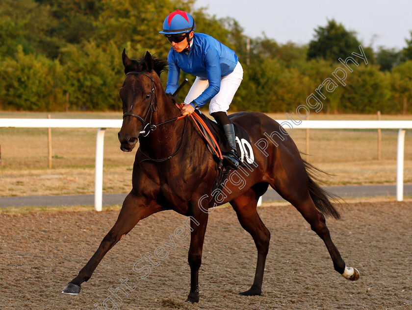 Balaawy-0002 
 BALAAWY (Yuga Kawada)
Chelmsford 24 Jul 2018 - Pic Steven Cargill / Racingfotos.com